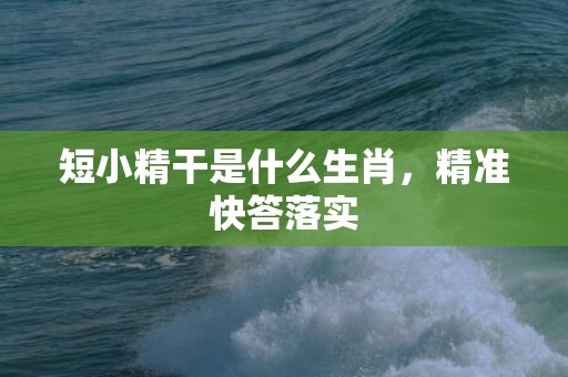 短小精干是什么生肖，精准快答落实