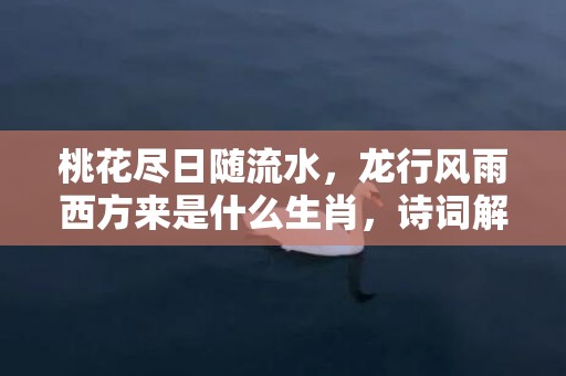 桃花尽日随流水，龙行风雨西方来是什么生肖，诗词解答落实