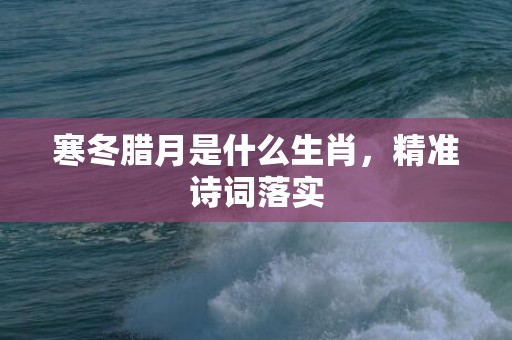 寒冬腊月是什么生肖，精准诗词落实