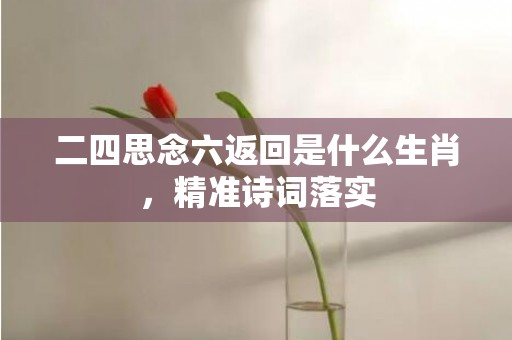 二四思念六返回是什么生肖，精准诗词落实