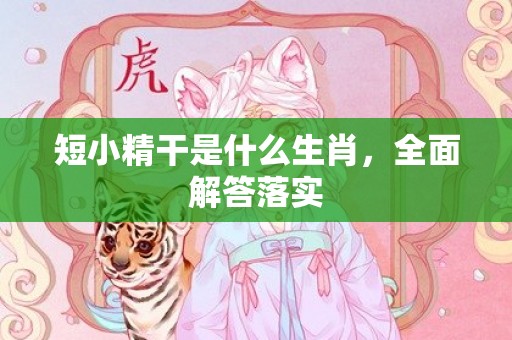 短小精干是什么生肖，全面解答落实