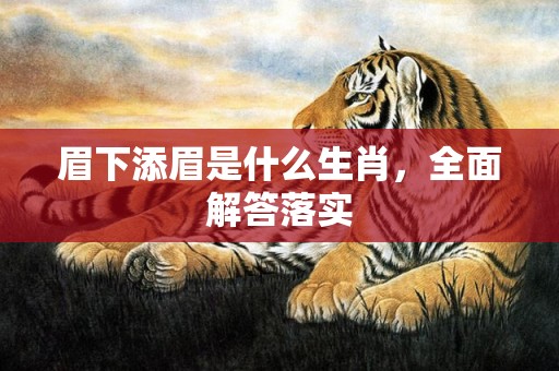 眉下添眉是什么生肖，全面解答落实