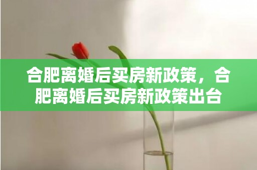 合肥离婚后买房新政策，合肥离婚后买房新政策出台