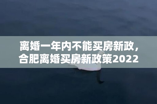 离婚一年内不能买房新政，合肥离婚买房新政策2022