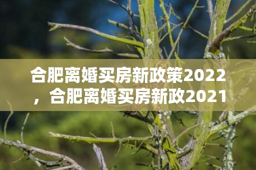 合肥离婚买房新政策2022，合肥离婚买房新政2021规定