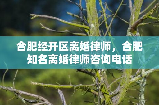 合肥经开区离婚律师，合肥知名离婚律师咨询电话