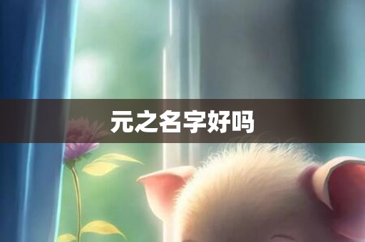 元之名字好吗