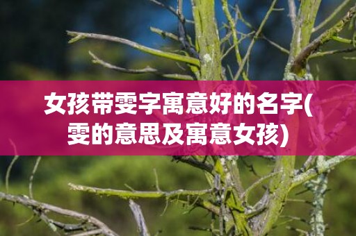 女孩带雯字寓意好的名字(雯的意思及寓意女孩)