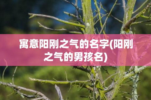 寓意阳刚之气的名字(阳刚之气的男孩名)