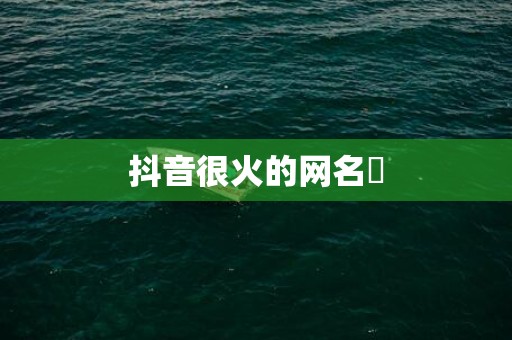 抖音很火的网名​