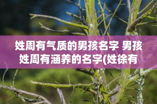 姓周有气质的男孩名字 男孩姓周有涵养的名字(姓徐有气质的男孩名字)