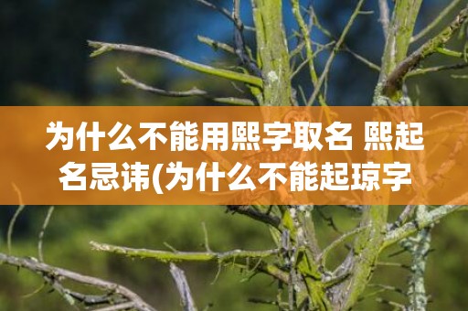 为什么不能用熙字取名 熙起名忌讳(为什么不能起琼字)