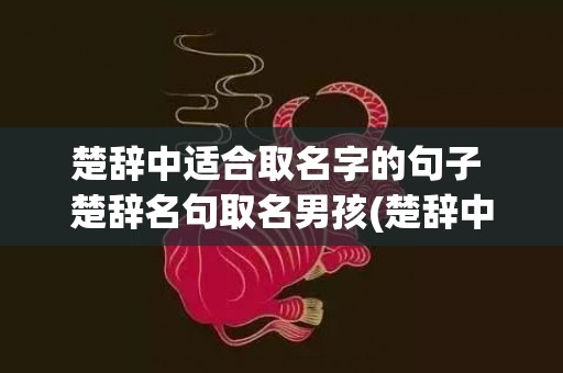 楚辞中适合取名字的句子 楚辞名句取名男孩(楚辞中惊艳的男孩名字)