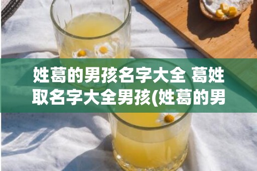 姓葛的男孩名字大全 葛姓取名字大全男孩(姓葛的男孩名字大全2022两字)