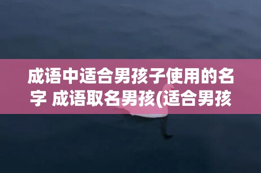 成语中适合男孩子使用的名字 成语取名男孩(适合男孩子的成语有哪些)