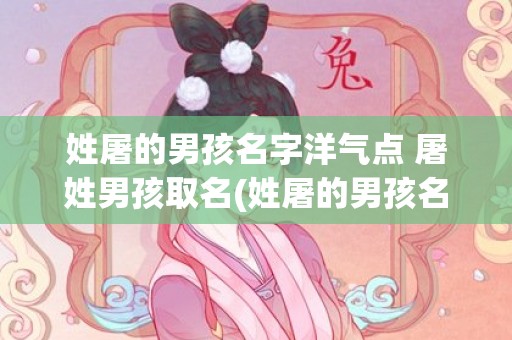 姓屠的男孩名字洋气点 屠姓男孩取名(姓屠的男孩名字要霸气)