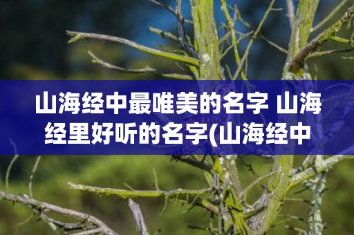 山海经中最唯美的名字 山海经里好听的名字(山海经中最唯美的神兽)