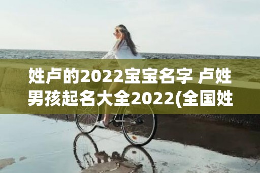 姓卢的2022宝宝名字 卢姓男孩起名大全2022(全国姓卢的有多少人口2022)