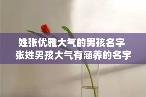 姓张优雅大气的男孩名字 张姓男孩大气有涵养的名字(姓张大气优雅女孩名字)