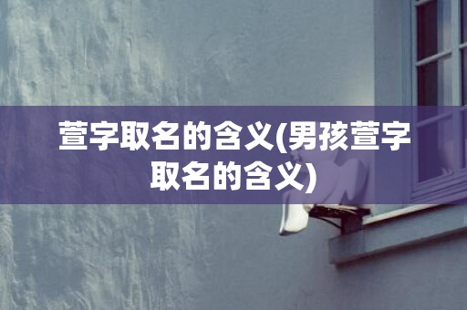萱字取名的含义(男孩萱字取名的含义)
