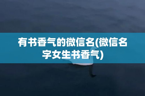 有书香气的微信名(微信名字女生书香气)