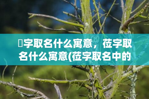 渃字取名什么寓意，莅字取名什么寓意(莅字取名中的寓意是什么？名字取得好，前程就事半功倍！ &#8211; 了解起名要点及成功案例)