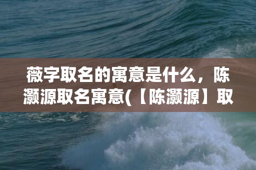 薇字取名的寓意是什么，陈灏源取名寓意(【陈灏源】取名寓意大揭秘，让你的宝宝名字更加独特、有寓意！)