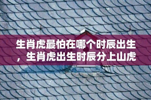 生肖虎最怕在哪个时辰出生，生肖虎出生时辰分上山虎和下山虎