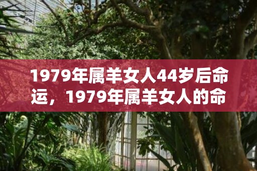 1979年属羊女人44岁后命运，1979年属羊女人的命运 婚姻上美满幸福