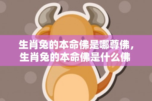 生肖兔的本命佛是哪尊佛，生肖兔的本命佛是什么佛 佩戴什么吉祥物