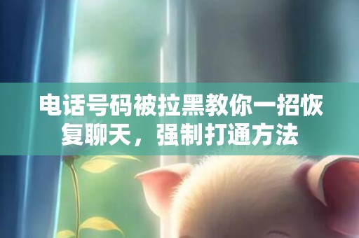 电话号码被拉黑教你一招恢复聊天，强制打通方法
