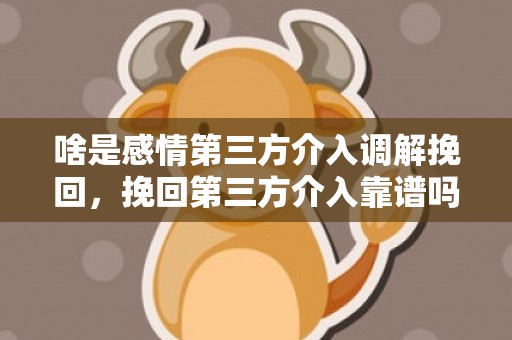 啥是感情第三方介入调解挽回，挽回第三方介入靠谱吗（挽回机构第三方介入）
