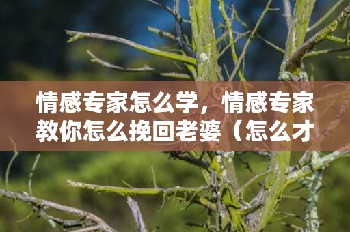 情感专家怎么学，情感专家教你怎么挽回老婆（怎么才能挽回老婆）