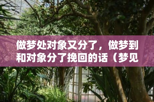 做梦处对象又分了，做梦到和对象分了挽回的话（梦见跟对象分手了什么征兆）