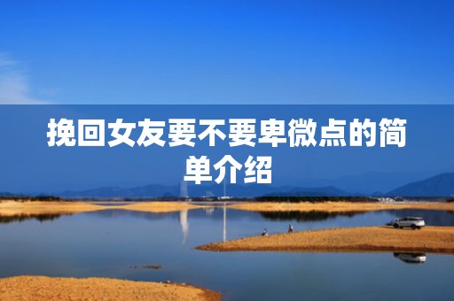 挽回女友要不要卑微点的简单介绍