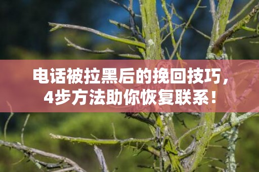 电话被拉黑后的挽回技巧，4步方法助你恢复联系！