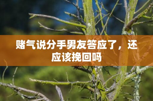 赌气说分手男友答应了，还应该挽回吗