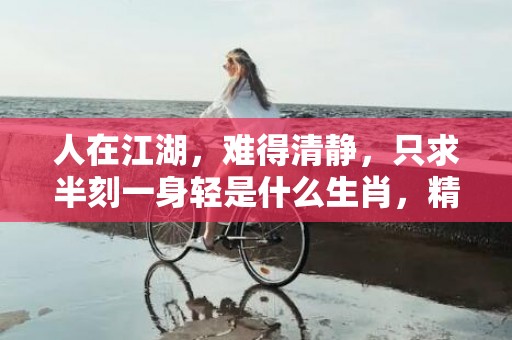 人在江湖，难得清静，只求半刻一身轻是什么生肖，精准作答落实