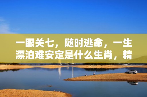 一眼关七，随时逃命，一生漂泊难安定是什么生肖，精准作答落实