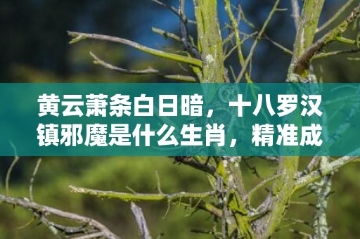 黄云萧条白日暗，十八罗汉镇邪魔是什么生肖，精准成语落实
