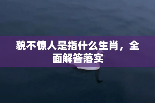 貌不惊人是指什么生肖，全面解答落实