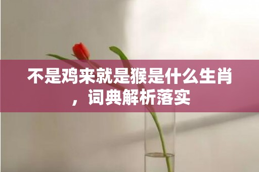 不是鸡来就是猴是什么生肖，词典解析落实