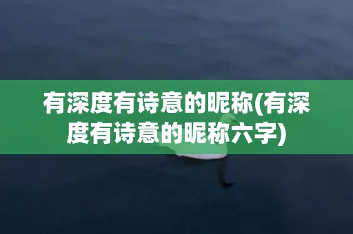 有深度有诗意的昵称(有深度有诗意的昵称六字)