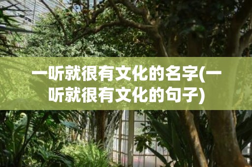 一听就很有文化的名字(一听就很有文化的句子)