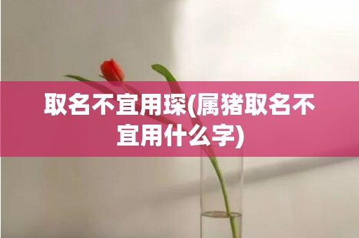 取名不宜用琛(属猪取名不宜用什么字)