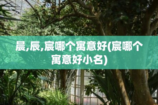 晨,辰,宸哪个寓意好(宸哪个寓意好小名)