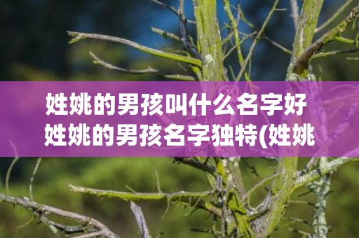 姓姚的男孩叫什么名字好 姓姚的男孩名字独特(姓姚的男孩叫什么名字好古风)