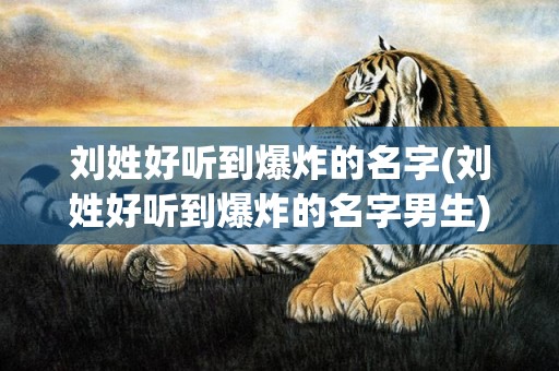 刘姓好听到爆炸的名字(刘姓好听到爆炸的名字男生)