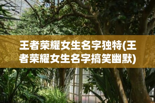 王者荣耀女生名字独特(王者荣耀女生名字搞笑幽默)
