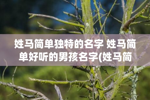 姓马简单独特的名字 姓马简单好听的男孩名字(姓马简单独特的名字女孩名字两个字)